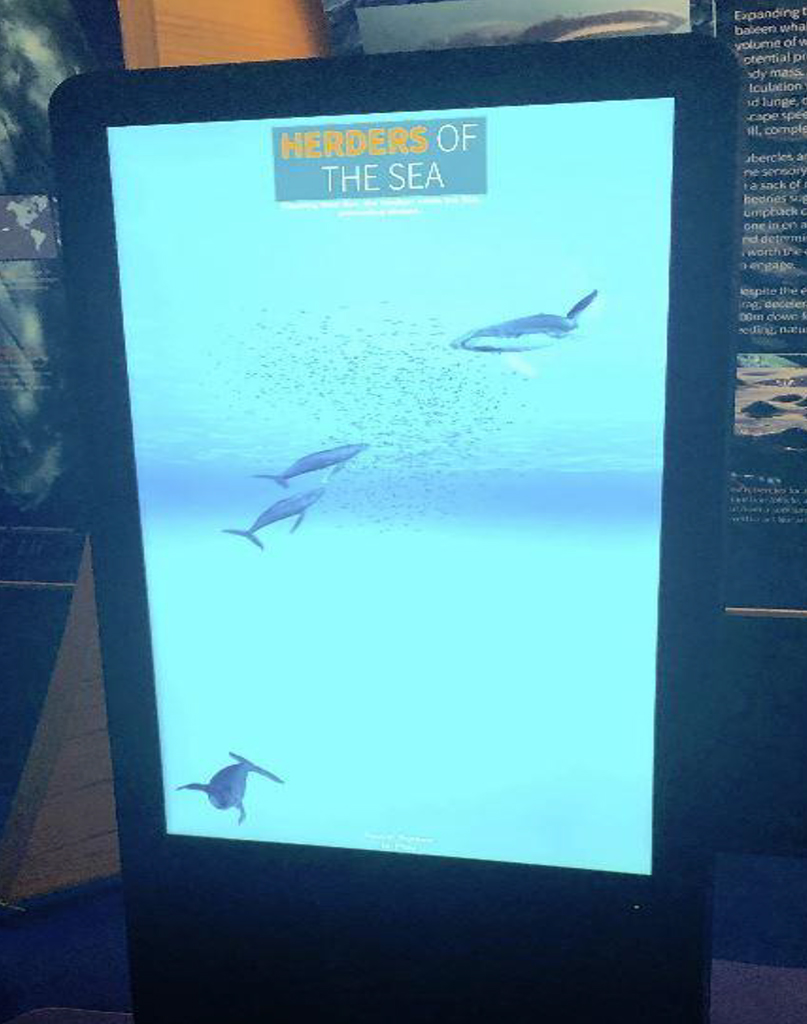 Herders of the Sea